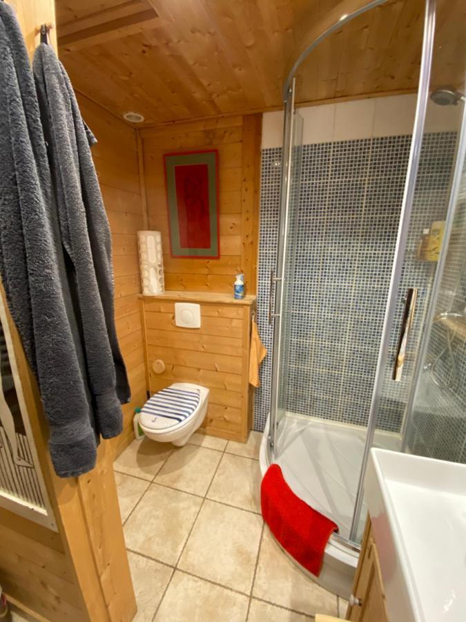 Chalet Les Chouettes Thônes Dış mekan fotoğraf