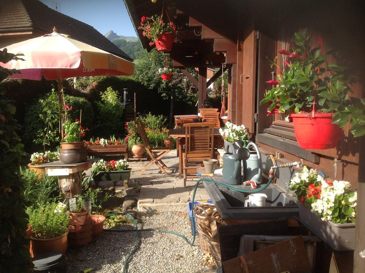 Chalet Les Chouettes Thônes Dış mekan fotoğraf